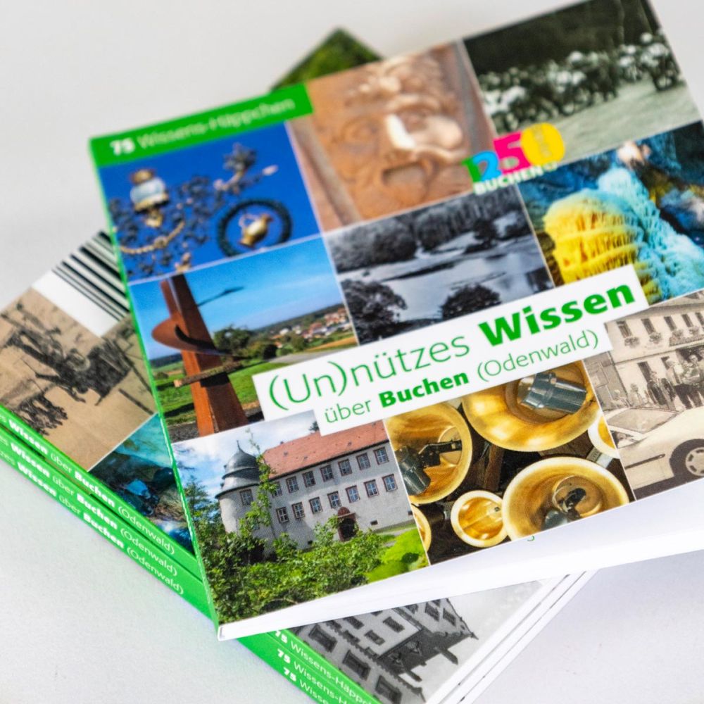 Buch "(Un)nützes Wissen über Buchen"