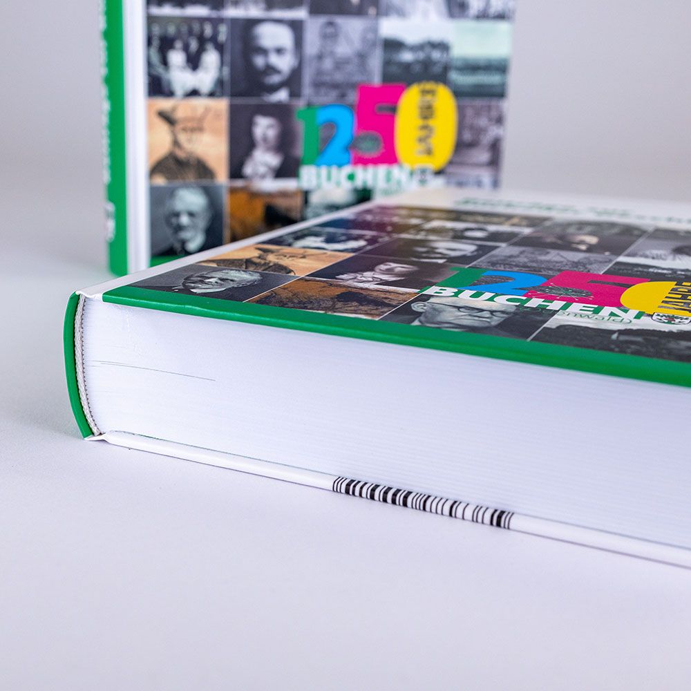 Buch "Beiträge zur Buchener Geschichte"